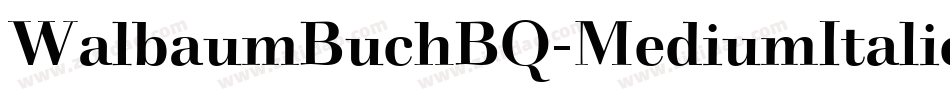 WalbaumBuchBQ-MediumItalic字体转换