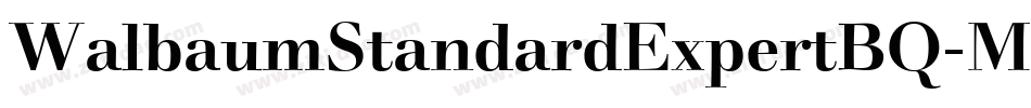 WalbaumStandardExpertBQ-Medium字体转换
