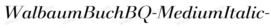 WalbaumBuchBQ-MediumItalic字体转换