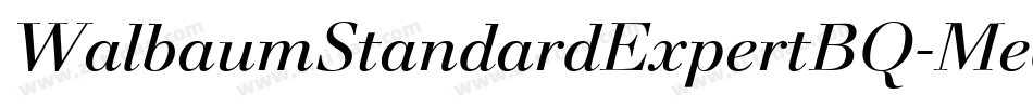 WalbaumStandardExpertBQ-Medium字体转换
