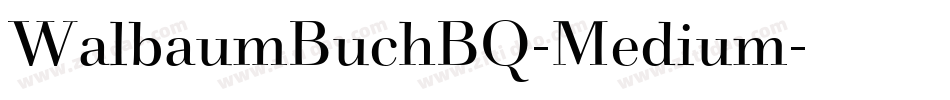 WalbaumBuchBQ-Medium字体转换