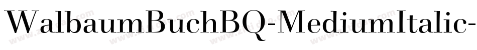 WalbaumBuchBQ-MediumItalic字体转换