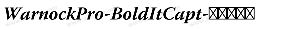 WarnockPro-BoldItCapt字体转换