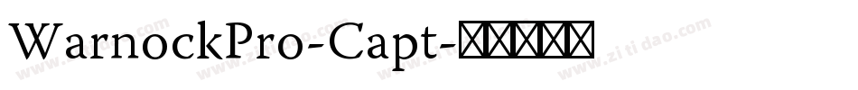 WarnockPro-Capt字体转换