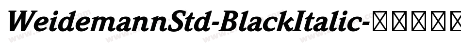 WeidemannStd-BlackItalic字体转换