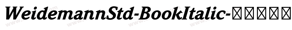 WeidemannStd-BookItalic字体转换