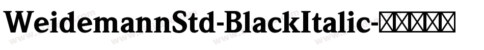 WeidemannStd-BlackItalic字体转换