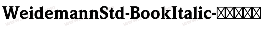 WeidemannStd-BookItalic字体转换