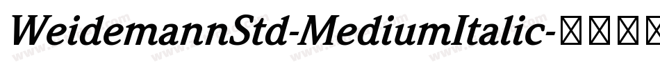 WeidemannStd-MediumItalic字体转换