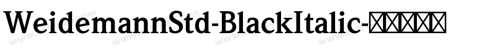 WeidemannStd-BlackItalic字体转换