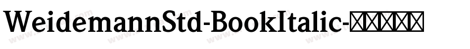 WeidemannStd-BookItalic字体转换
