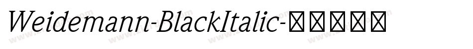 Weidemann-BlackItalic字体转换