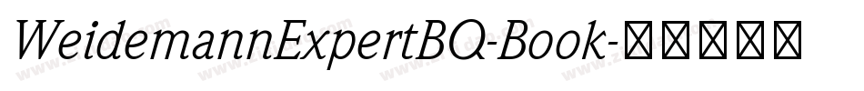 WeidemannExpertBQ-Book字体转换
