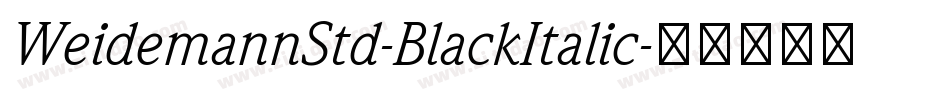 WeidemannStd-BlackItalic字体转换