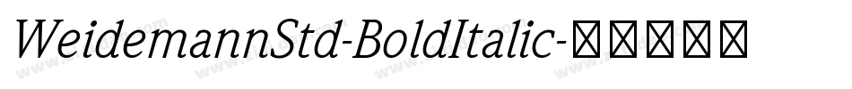 WeidemannStd-BoldItalic字体转换
