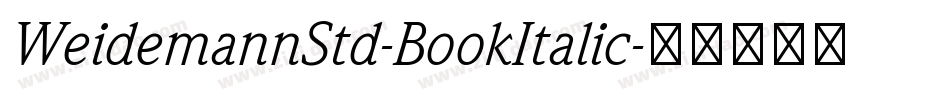 WeidemannStd-BookItalic字体转换