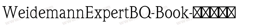 WeidemannExpertBQ-Book字体转换