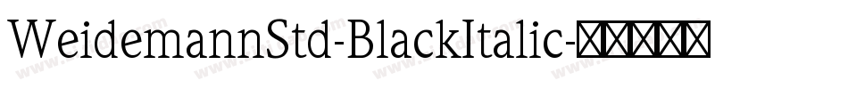 WeidemannStd-BlackItalic字体转换