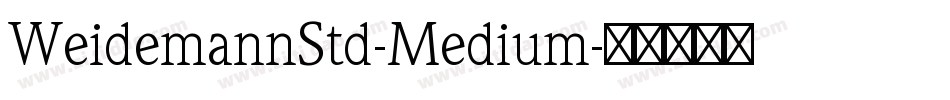 WeidemannStd-Medium字体转换