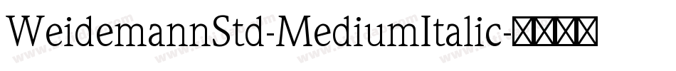 WeidemannStd-MediumItalic字体转换