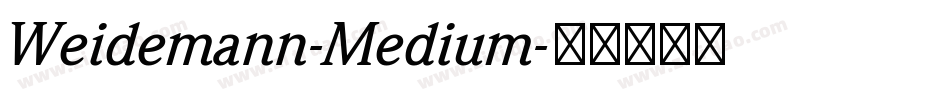 Weidemann-Medium字体转换
