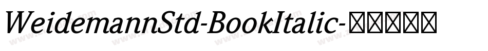 WeidemannStd-BookItalic字体转换