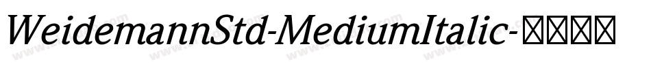 WeidemannStd-MediumItalic字体转换