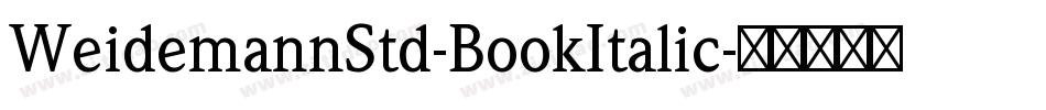 WeidemannStd-BookItalic字体转换