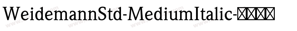 WeidemannStd-MediumItalic字体转换