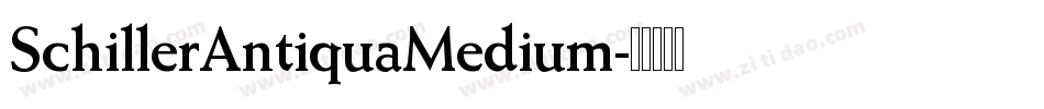 SchillerAntiquaMedium字体转换