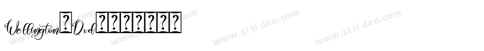Wellington-Dxd3字体转换