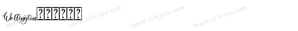 Wellington字体转换
