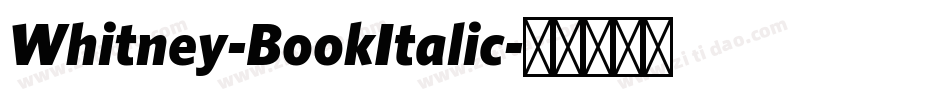 Whitney-BookItalic字体转换