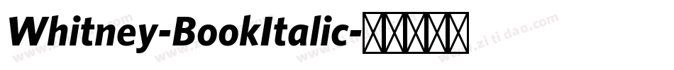 Whitney-BookItalic字体转换