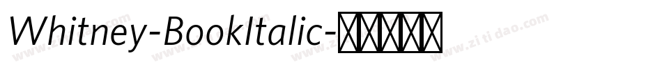 Whitney-BookItalic字体转换
