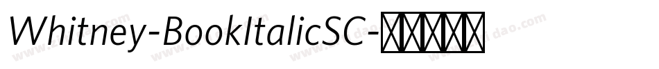 Whitney-BookItalicSC字体转换