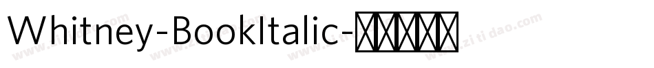Whitney-BookItalic字体转换