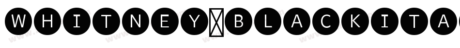 Whitney-BlackItalic字体转换
