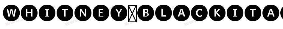 Whitney-BlackItalic字体转换