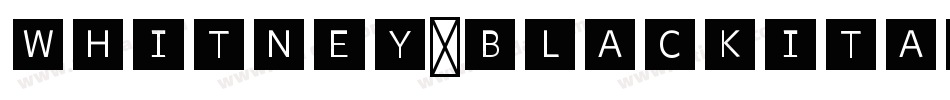 Whitney-BlackItalic字体转换