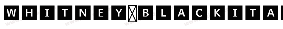 Whitney-BlackItalic字体转换