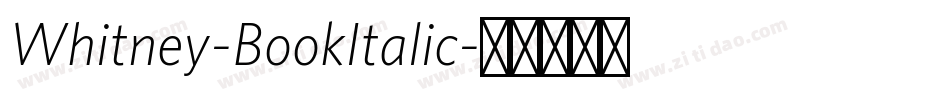 Whitney-BookItalic字体转换