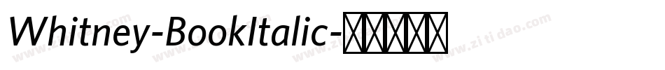Whitney-BookItalic字体转换