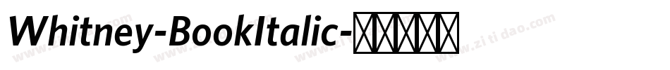 Whitney-BookItalic字体转换