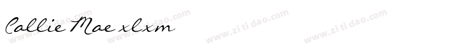 CallieMae-xlxm字体转换