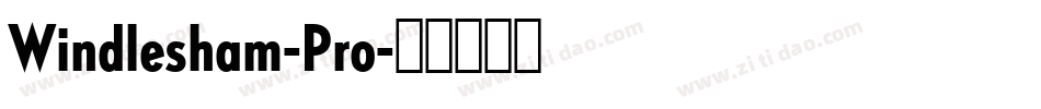 Windlesham-Pro字体转换