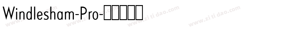 Windlesham-Pro字体转换