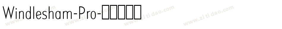Windlesham-Pro字体转换