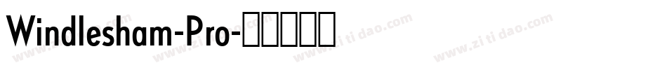 Windlesham-Pro字体转换