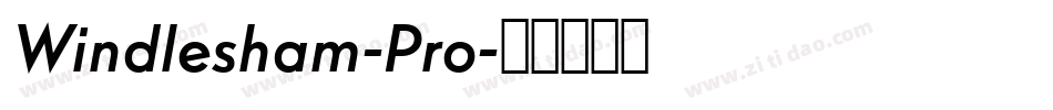 Windlesham-Pro字体转换